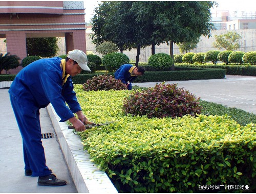 金年会金字招牌信誉至上：庭院绿化工程价格评估